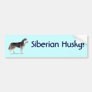 Siberian Husky! Bumper Sticker
