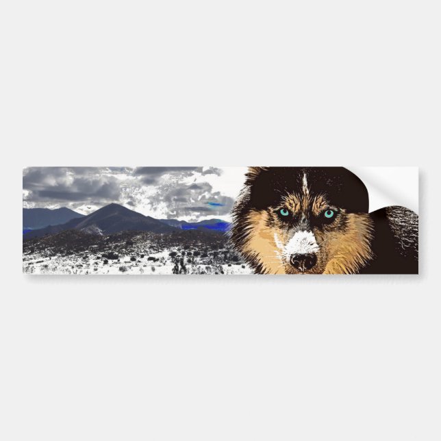 Siberian Husky Bumper Sticker (Front)