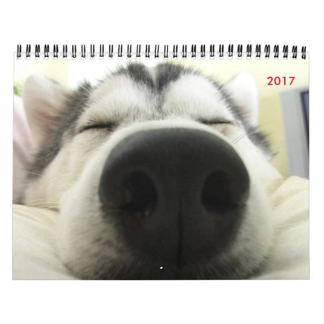 Siberian Husky Calendar (Cover)