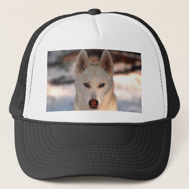 Siberian Husky Cap (Front)