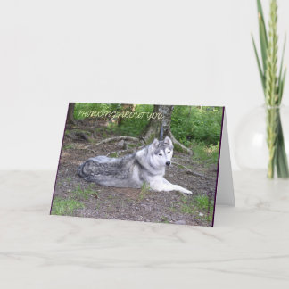 SIBERIAN HUSKY CARD
