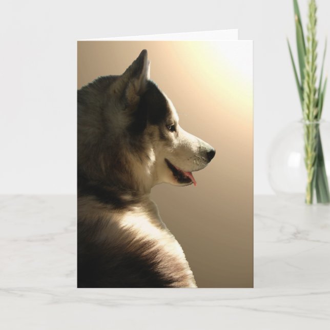 Siberian Husky Card / Alaskan Malamute Card (Front)