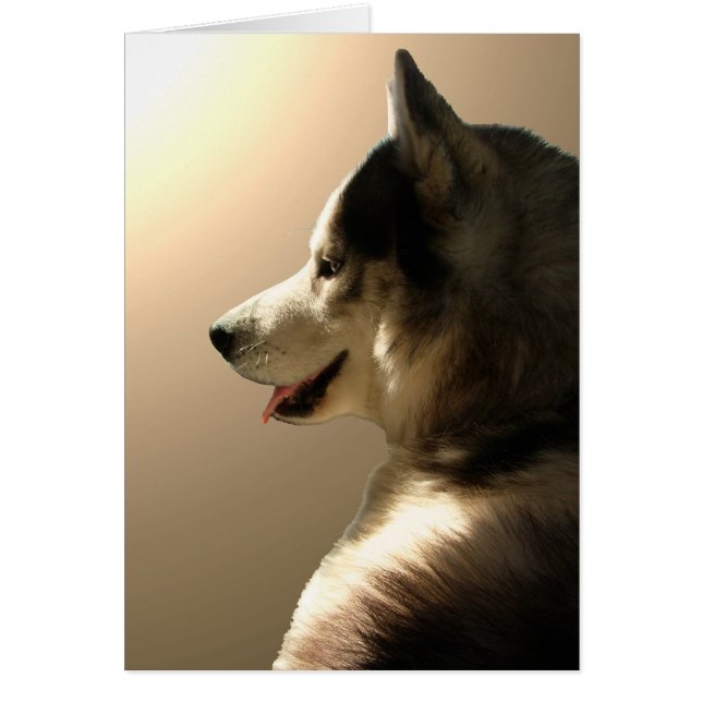 Siberian Husky Card / Alaskan Malamute Card (Front)