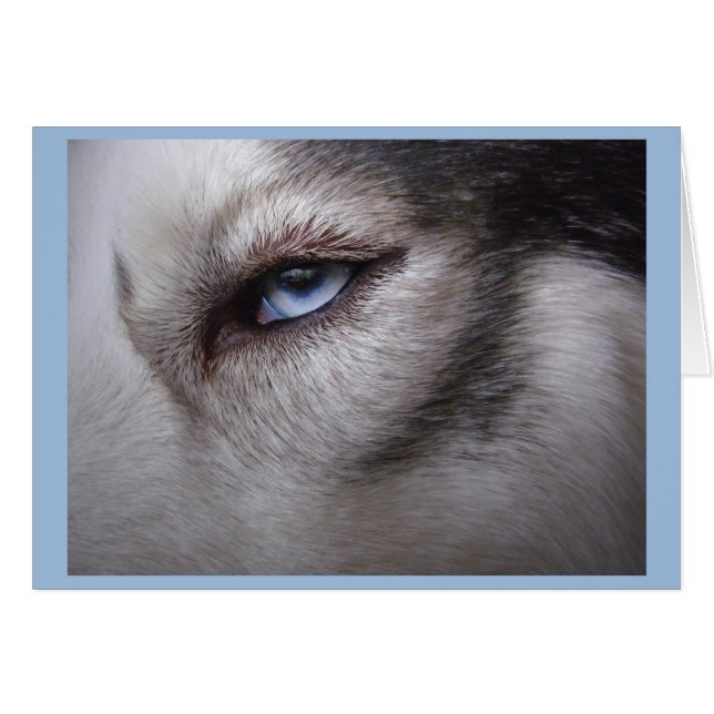 Siberian Husky Card Alaskan Malamute Card (Front Horizontal)