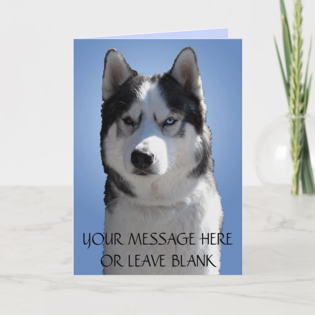 Siberian Husky Card / Alaskan Malamute Card Blank (Front)