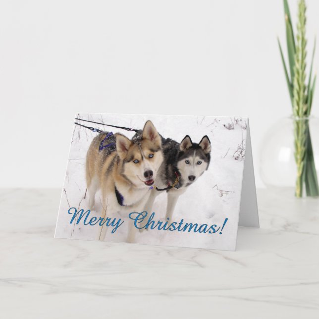 Siberian Husky Christmas Card (Front)