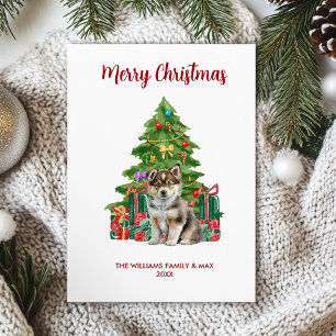 Siberian Husky Christmas Card