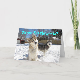 Siberian Husky Christmas Card