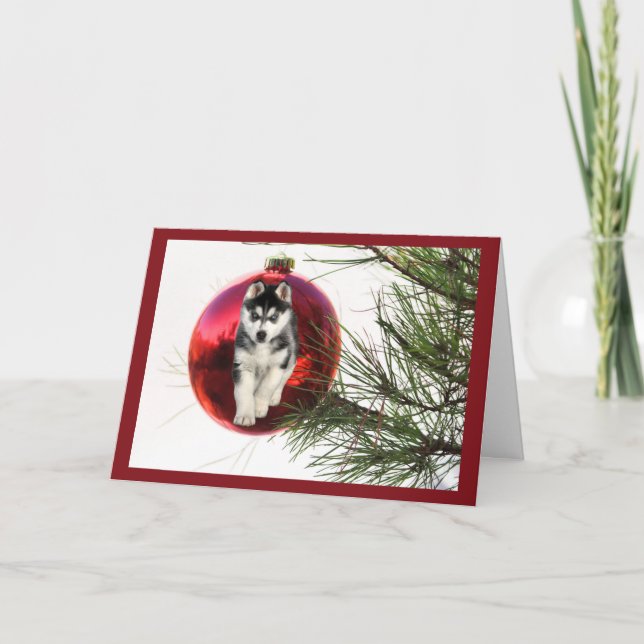 Siberian Husky Christmas Card Hanging Ball (Front)