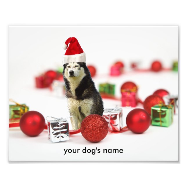 Siberian Husky Christmas Ornament photo print (Front)