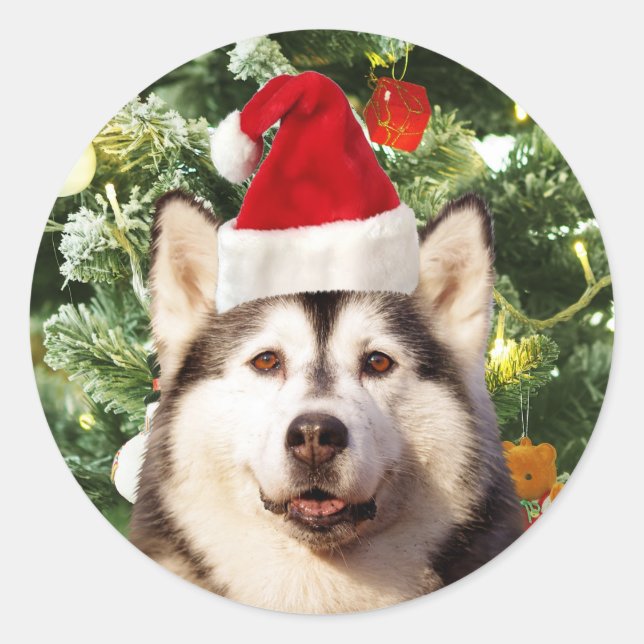 Siberian Husky Christmas Tree Ornaments Snowman Classic Round Sticker (Front)