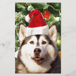 Siberian Husky Christmas Tree Ornaments Snowman Stationery