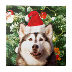 Siberian Husky Christmas Tree Ornaments Snowman Tile