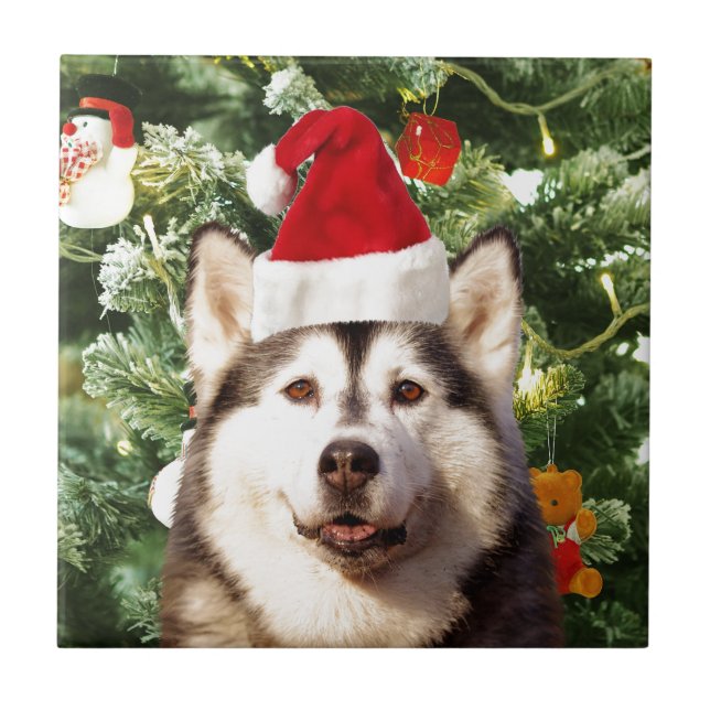 Siberian Husky Christmas Tree Ornaments Snowman Tile (Front)