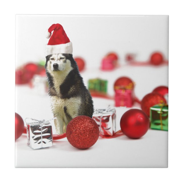 Siberian Husky Christmas with Ornament  Gift Box Tile (Front)