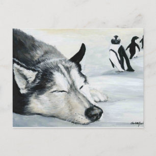 Siberian Husky Dog Art Postcard