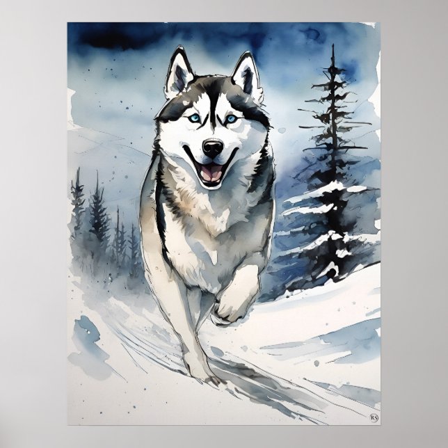 Siberian Husky - Dog Art Print (Front)
