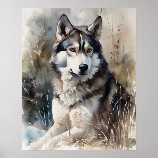 Siberian Husky Dog Art Print Poster (Front)