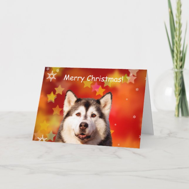 Siberian Husky Dog Christmas Stars Snow Flakes Holiday Card (Front)