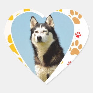 Siberian Husky Dog Heart Paws Print Heart Sticker