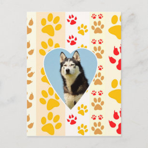 Siberian Husky Dog Heart Paws Print Postcard