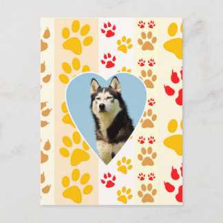 Siberian Husky Dog Heart Paws Print Postcard