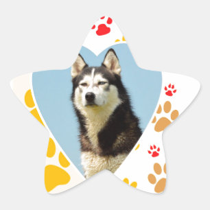 Siberian Husky Dog Heart Paws Print Star Sticker