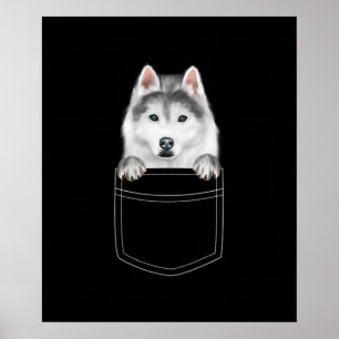 Siberian Husky Dog In Pocket  Funny Dog Lover Gift Poster
