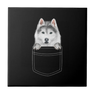 Siberian Husky Dog In Pocket  Funny Dog Lover Gift Tile