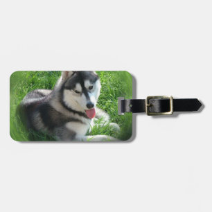 Siberian Husky Dog Luggage Tag