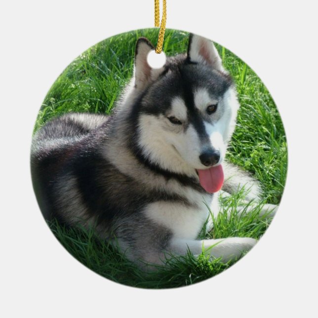 Siberian Husky Dog Ornament (Front)