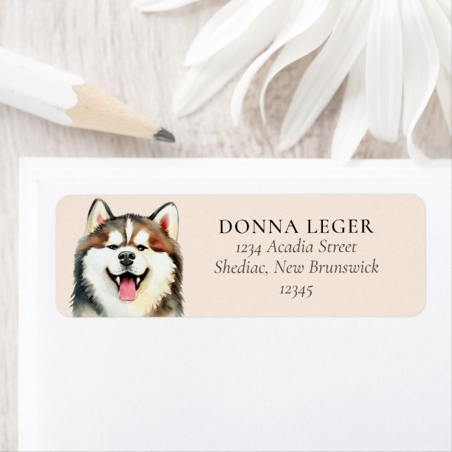 Siberian Husky Dog Personalised Address (Insitu)