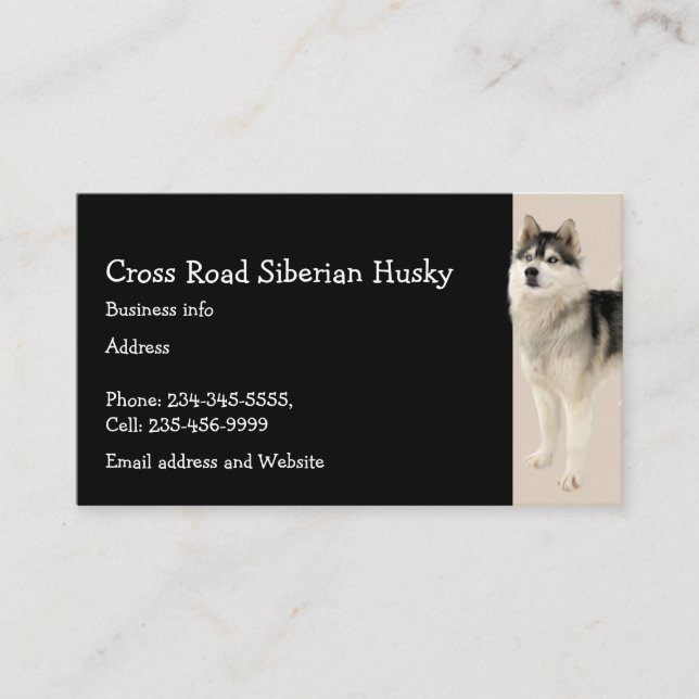 Siberian Husky Dog Pet Animal   Business Card (Front)