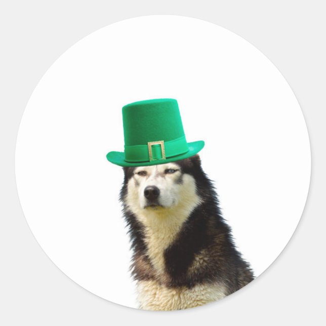 Siberian Husky Dog St. Patrick's day Classic Round Sticker (Front)