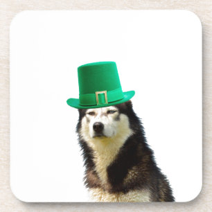 Siberian Husky Dog St. Patrick's day Coaster