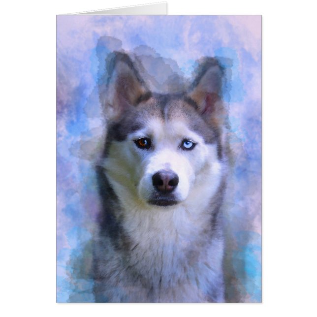 Siberian Husky Dog Water Colour Art Painting (Front)