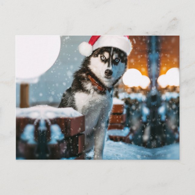 Siberian Husky dog wearing santa hat Postcard (Front)