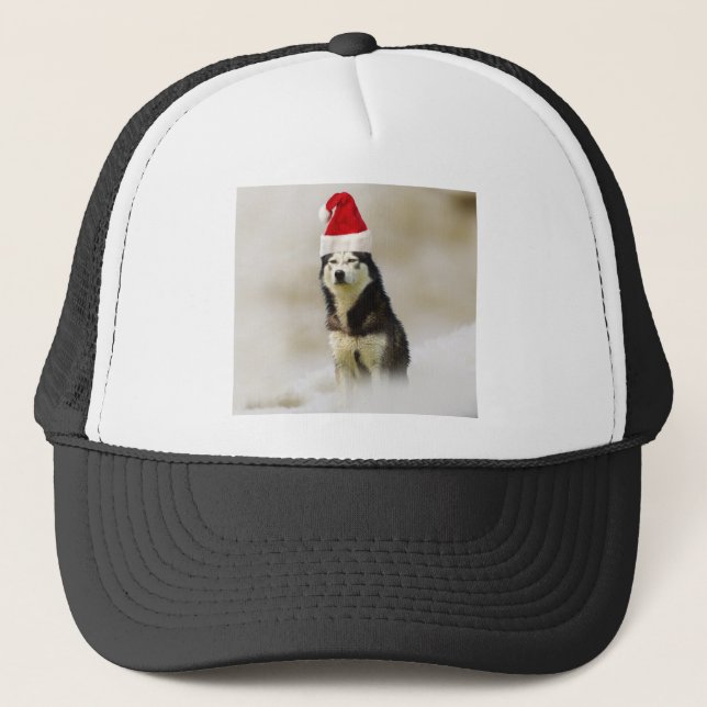 Siberian Husky Dog with Santa Hat in Snow (Front)