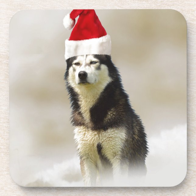 Siberian Husky Dog with Santa Hat in Snow Coaster (Front)