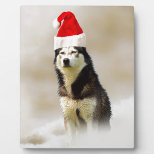 Siberian Husky Dog with Santa Hat in Snow Plaque