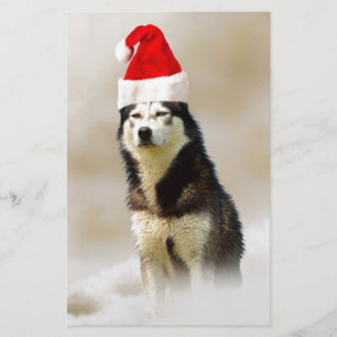 Siberian Husky Dog with Santa Hat in Snow Stationery