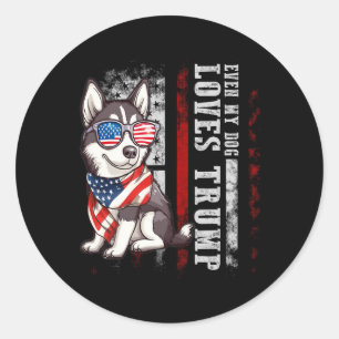 Siberian Husky Even My Dog Loves Trump Funny Classic Round Sticker