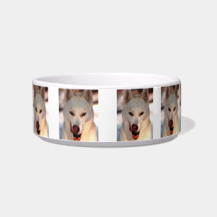 Siberian Husky food/water bowl