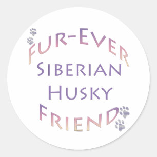 Siberian Husky Furever Friend Classic Round Sticker