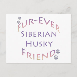 Siberian Husky Furever Friend Postcard