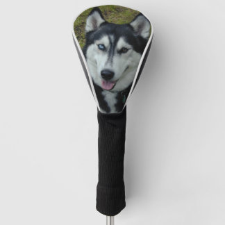 Siberian Husky Golf Club Cover