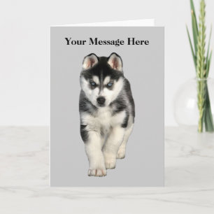 Siberian Husky Greeting Card