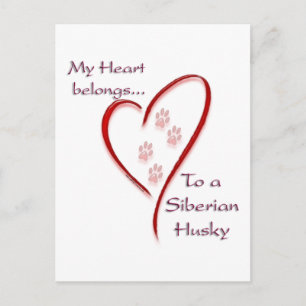 Siberian Husky Heart Belongs Postcard