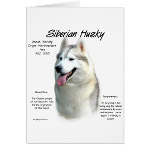 Siberian Husky History Design