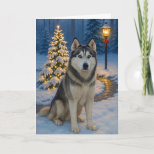 Siberian Husky Holiday Card